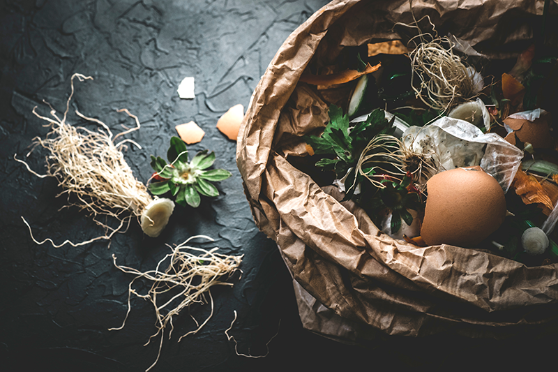 Composting organic food waste for sustainable food cycle
